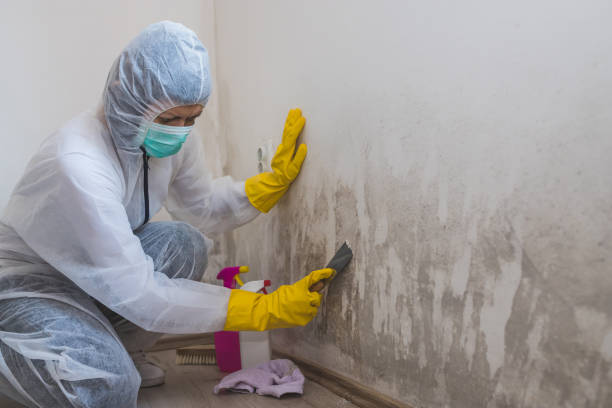 Crawl Space Mold Removal in Atwood, TN